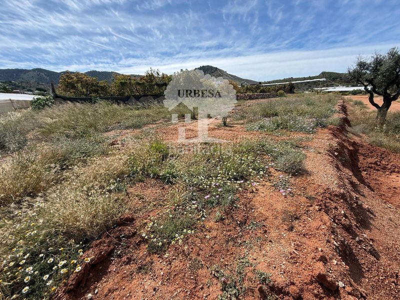 Foto b158d89e-9264-407e-9f9f-8ce4db63e3e6. Finca rústica a Los Tablones - La Garnatilla Motril