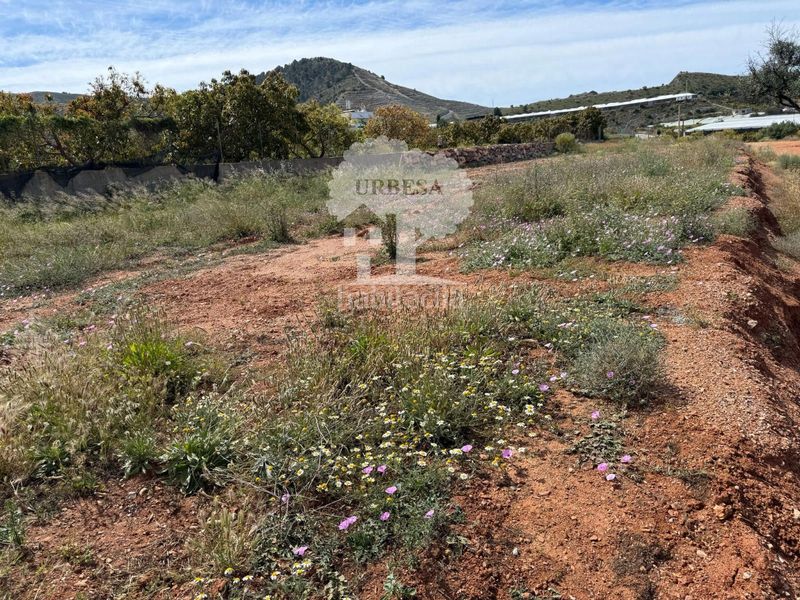 Foto c2f3fd78-82cd-411e-9595-81370be15250. Finca rústica a Los Tablones - La Garnatilla Motril