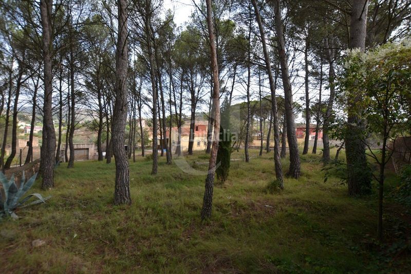 Foto 7725bee7-3fd0-4c54-bd57-6c97e2abfcf7. Finca rústica a Siete Aguas