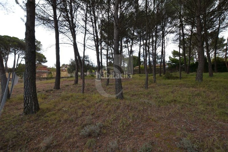 Foto eede8990-0bd0-425e-8500-56eeb19ee506. Finca rústica a Siete Aguas