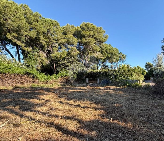 Foto 3dc1c38a-30e6-4a1e-896e-d596b611a209. Terreny residencial a Rocafort