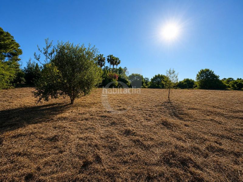 Foto c81e0b14-515d-4b90-a5d3-4e4d4417a06d. Terreny residencial a Rocafort