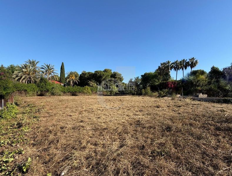 Foto df576bd0-e007-4a75-abec-2d7a8978cbe2. Terreny residencial a Rocafort
