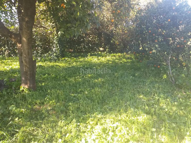 Foto 9e8aadbb-476f-43db-81a9-8a8ec69976a4. Terreno residencial parc. rúst. en venta en carretera utrera. en Alcalá de Guadaira