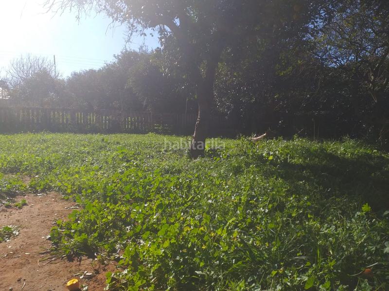 Foto d97b971f-4272-4a33-929f-670984d523cc. Terreno residencial parc. rúst. en venta en carretera utrera. en Alcalá de Guadaira