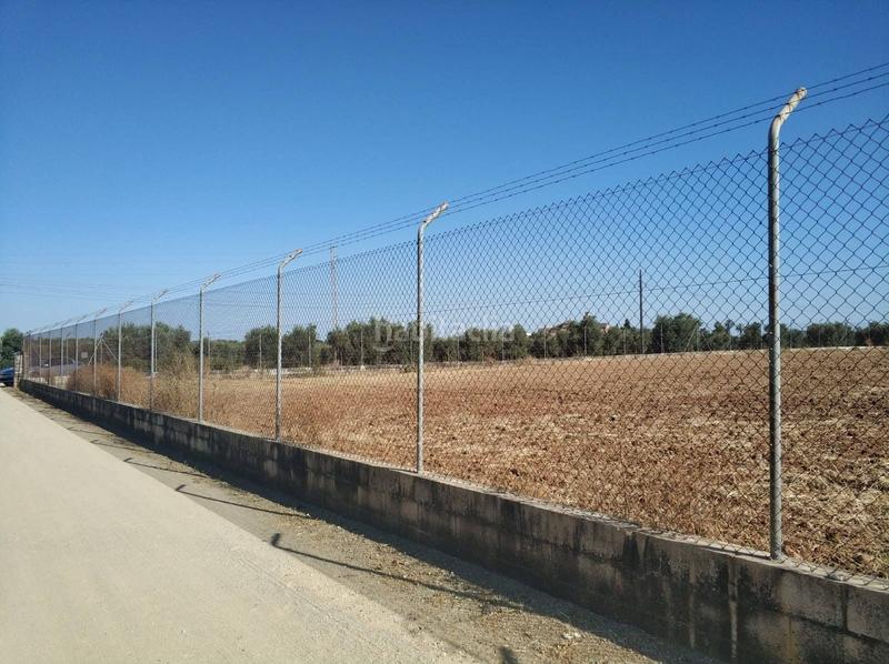 Foto 805fe77a-ea3d-4908-8afd-e0c63b47488e. Terrain résidentiel dans Loreto Espartinas