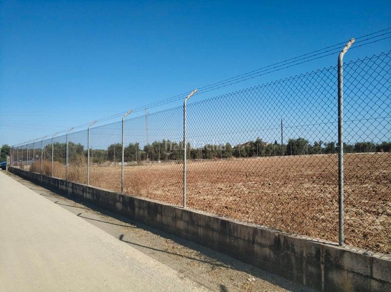 Foto c9aa63ed-4669-4912-9d92-cc48a812eda0. Terrain résidentiel dans Loreto Espartinas