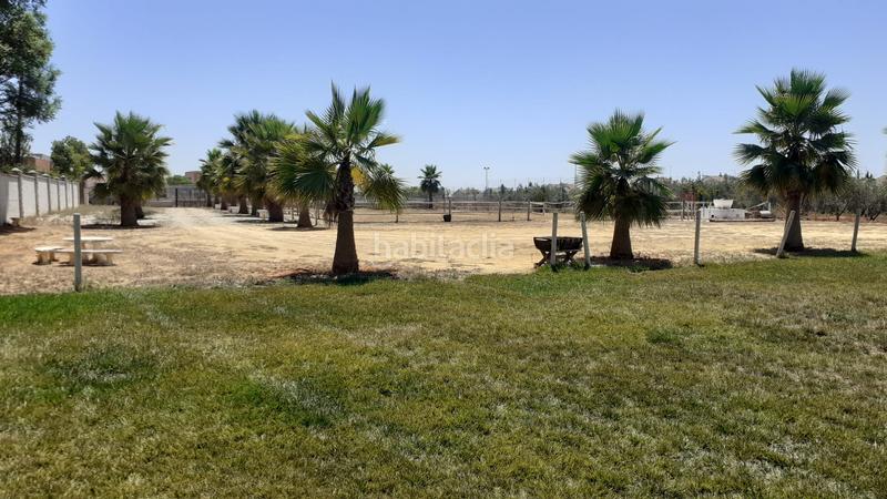 Foto 00dfb010-d2ed-4430-ad5d-5adf102d0386. Finca rústica a Loreto Espartinas