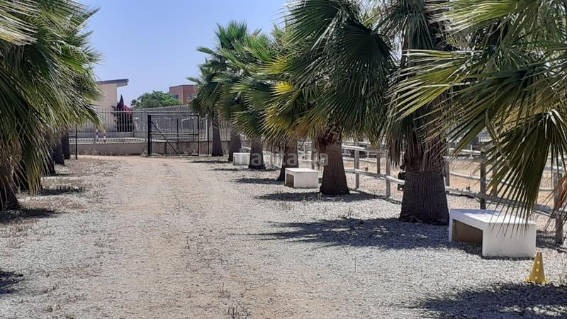 Foto 0308f8dd-29a9-4233-a20c-6489994fd50f. Finca rústica a Loreto Espartinas