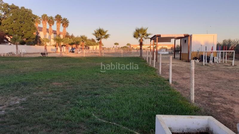 Foto 1af04f7c-3813-4cc3-a2c0-bdd7eb320f8e. Finca rústica a Loreto Espartinas