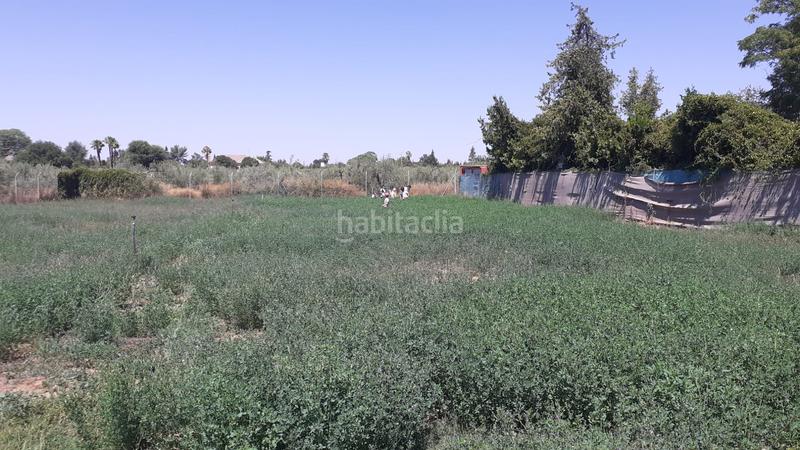 Foto 2f73e991-4059-4ddc-afaa-1e6dab318310. Finca rústica a Loreto Espartinas