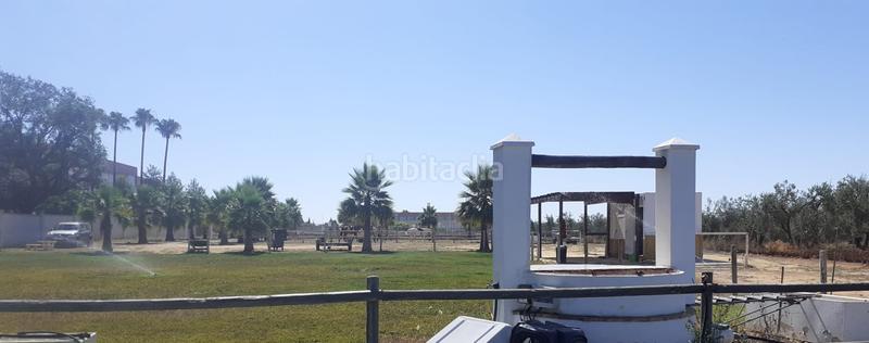 Foto 456ba860-a29b-4550-851c-5dda4911f5ec. Finca rústica a Loreto Espartinas