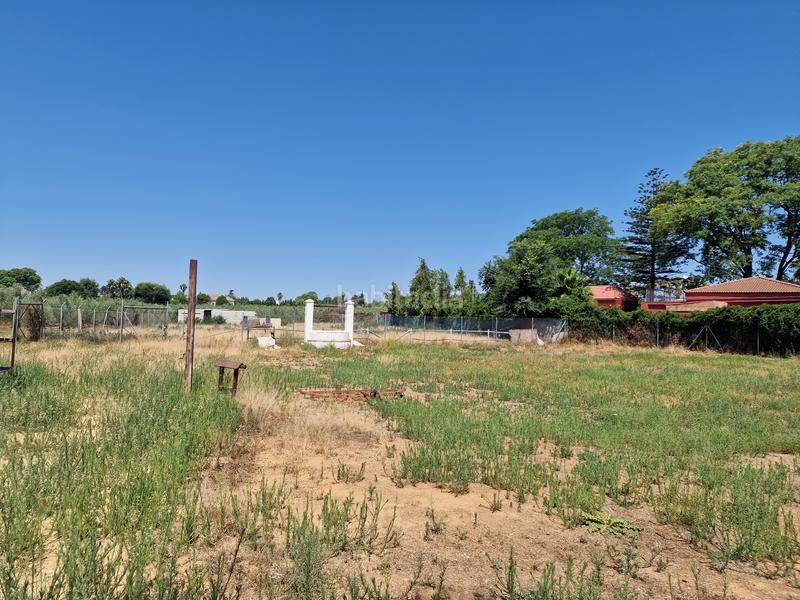 Foto 8ab6e81d-315a-44bf-a0c6-8ab21d6f0cfd. Finca rústica a Loreto Espartinas