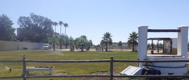 Foto 8f6fa6ad-183c-4542-b312-7eca73c7c70b. Finca rústica a Loreto Espartinas