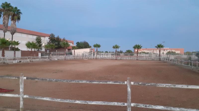 Foto bf8fde06-19ac-4a55-8814-e3f3804a925d. Finca rústica a Loreto Espartinas