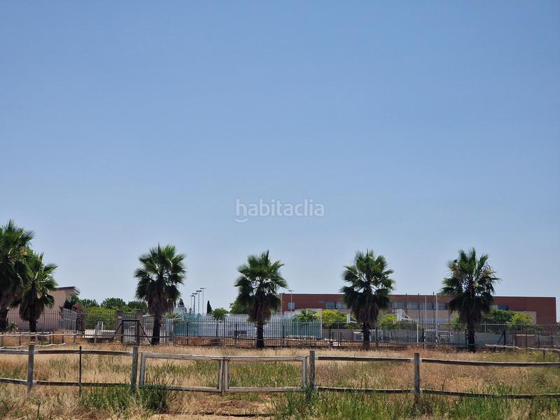 Foto c4bbb55a-ccf5-43a8-9e92-3de3e331cc38. Finca rústica a Loreto Espartinas