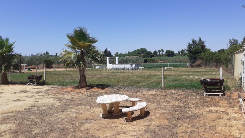 Foto cded6b56-0fc8-46f6-b90a-25f4d20e0c58. Finca rústica a Loreto Espartinas