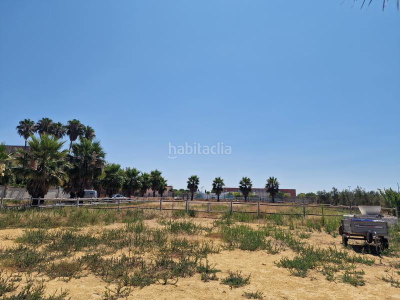 Foto db6afa6e-ce03-4768-8339-5a962c07f6a4. Finca rústica a Loreto Espartinas