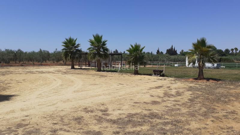 Foto e9fd5287-2557-43fd-8259-687abb48c4eb. Finca rústica a Loreto Espartinas