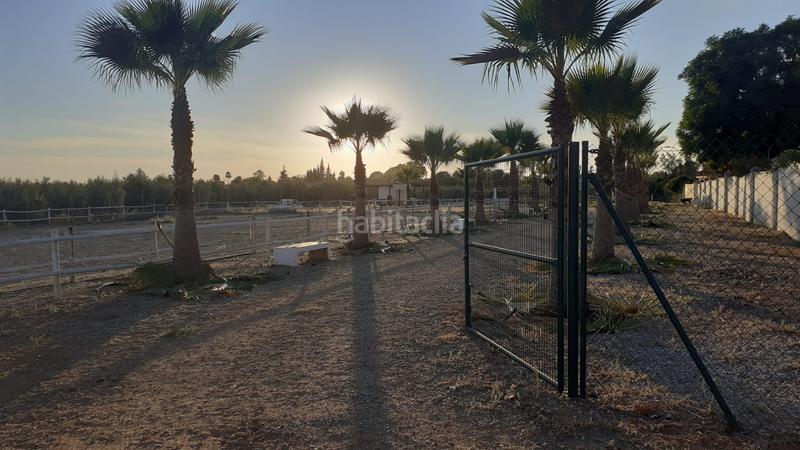 Foto f84ce360-306b-49fd-9585-bcc1c3a64631. Finca rústica a Loreto Espartinas