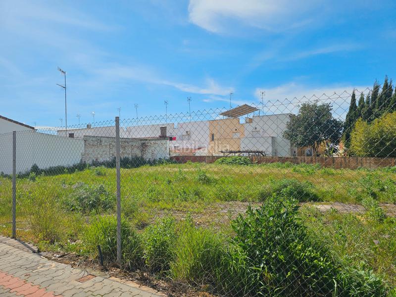 Foto c6e76972-5ce2-441c-a413-8d82540d94c1. Terreny residencial a Umbrete