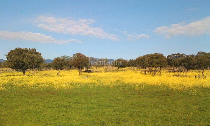 Foto 6295c915-a220-46c2-904a-f49bd517b3e6. Terreny residencial a Umbrete