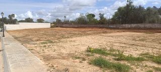 Terreny residencial a Sanlúcar la Mayor. Oportunidad!!! gran parcela urbana de 209 m2!!!