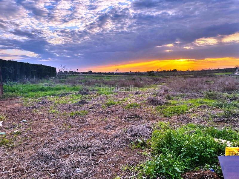 Foto 45d10c2c-249c-4a5d-91d8-ff5b00c4ee4a. Finca rústica a Villanueva del Ariscal