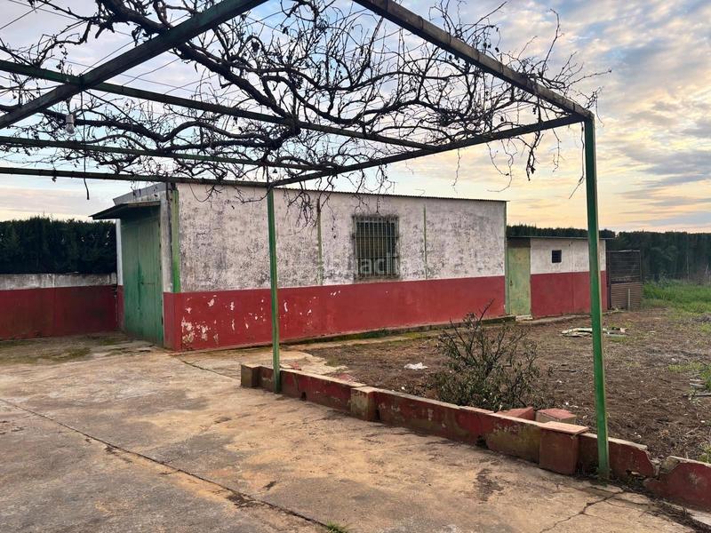 Foto 85406a64-5c55-490e-a794-3f1568ab6ac3. Finca rústica a Villanueva del Ariscal