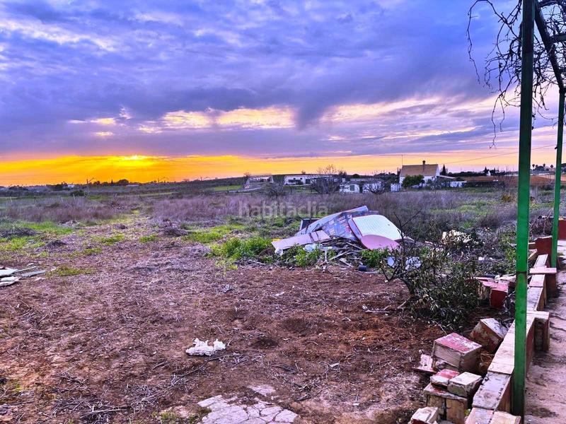 Foto a9aa49d3-73e6-45f4-b9d7-067e0af4c5a6. Finca rústica a Villanueva del Ariscal