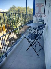 Piso  Alameda alameda de hércules. Piso de dos dormitorios exterior con terraza