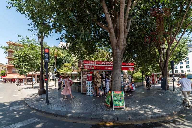 Foto 0803e988-dc0e-48b7-9984-9028d582bdd7. Pis a Alfalfa - Santa Cruz Sevilla