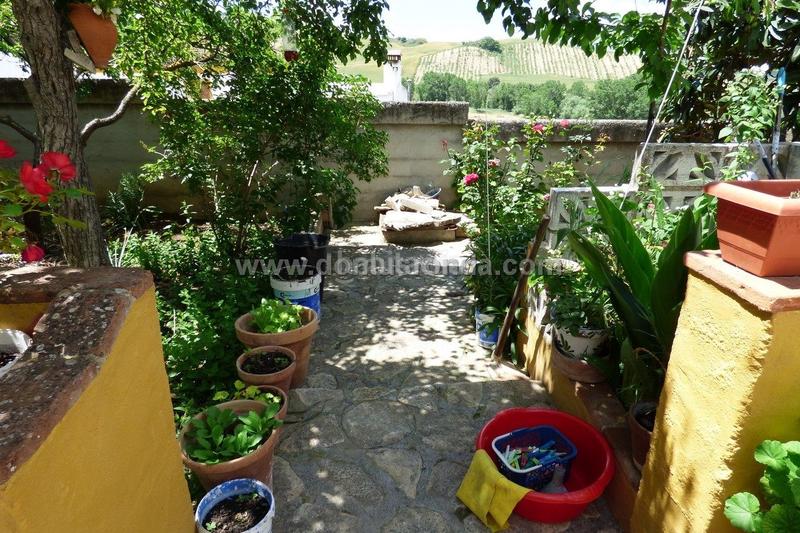 Foto 77b91ae5-b99a-46df-b908-fd51762d57c6. Mas dans Partidas Norte Ronda