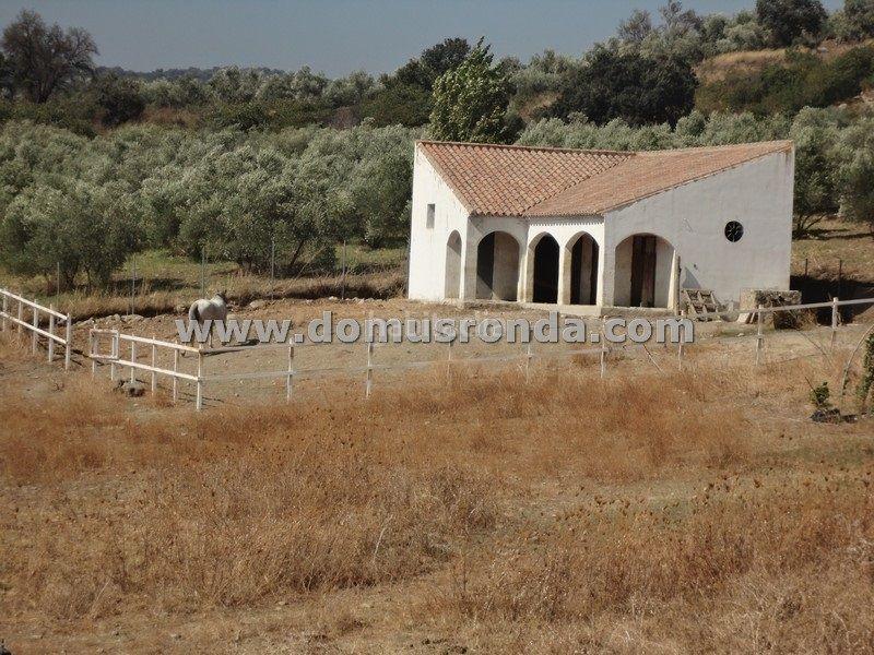 Foto 2e836c83-a1fe-42ff-8111-be2a1be65537. Chalet avec chauffage parking piscine dans Centro Ronda