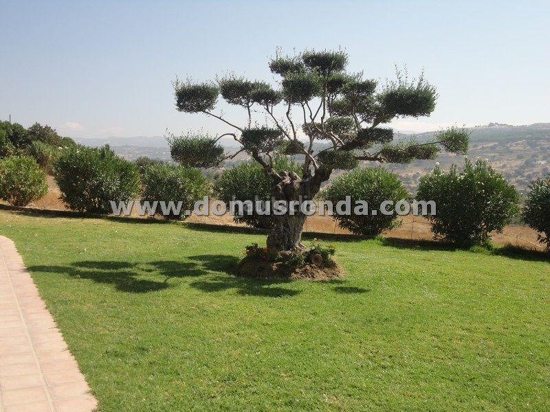 Foto 460815a6-5303-4195-a59d-eb5459042ec8. Chalet avec chauffage parking piscine dans Centro Ronda