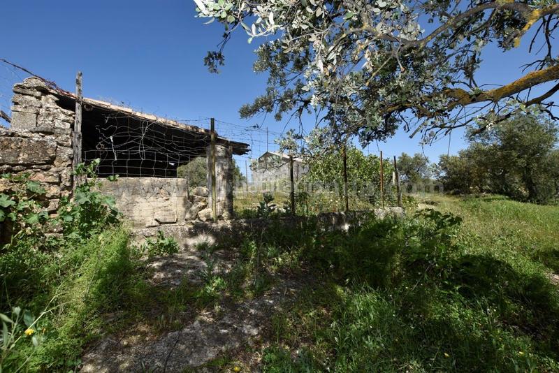 Foto 13eb59b1-6f3a-43ee-b0d7-a9fe53c5a474. Bauernhof in Partidas Norte Ronda