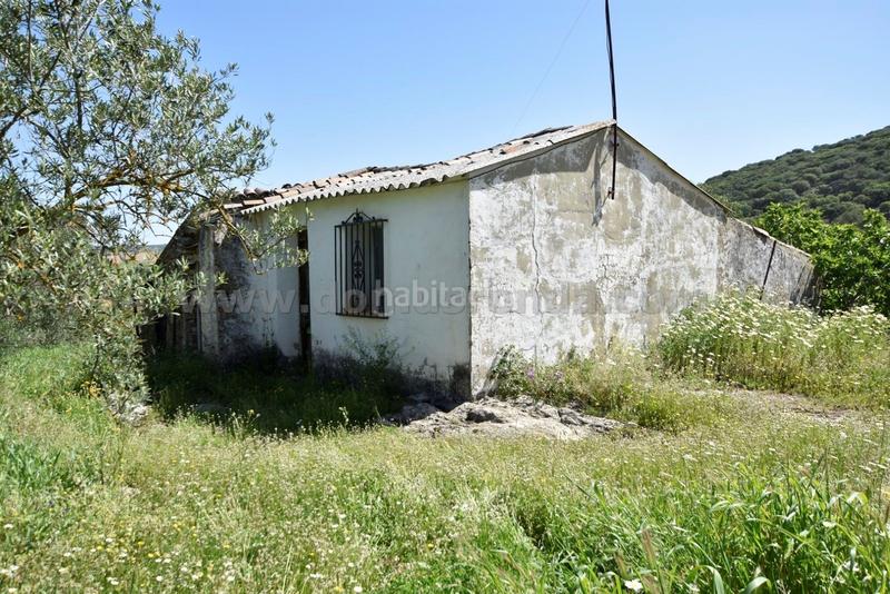 Foto 1d0d81f8-9e3d-42b7-a2a0-9ab9bbb1c92d. Bauernhof in Partidas Norte Ronda