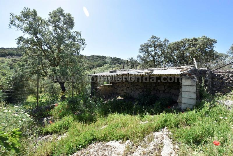 Foto 3c9689de-bb4c-4ec8-b5c0-e683fe968ce7. Bauernhof in Partidas Norte Ronda