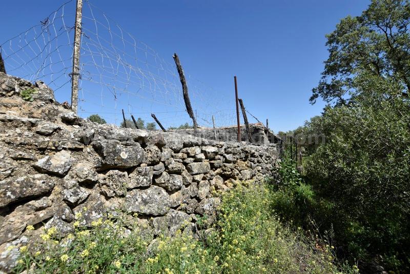 Foto 4a367483-46da-4e75-9454-771ed7d33de9. Bauernhof in Partidas Norte Ronda