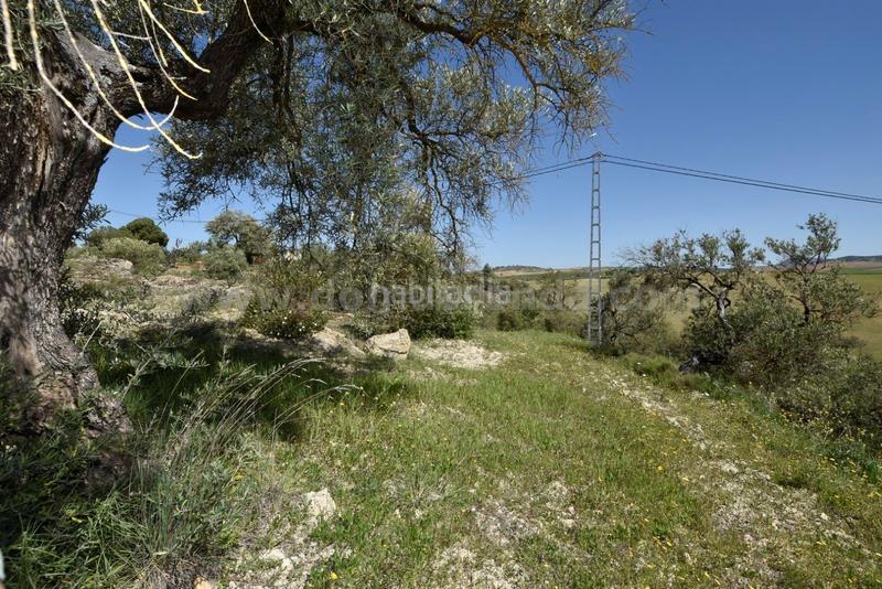 Foto 7c521951-e325-47a1-8ed4-87af68dc31f5. Bauernhof in Partidas Norte Ronda