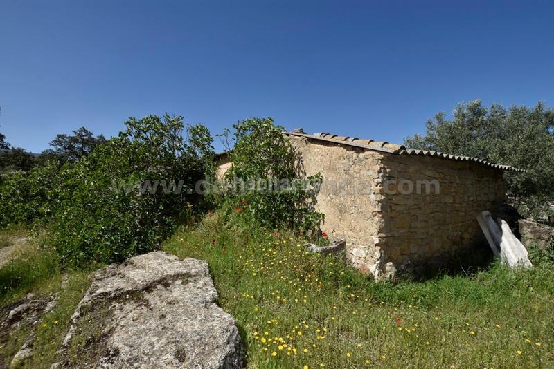 Foto 833fbb8c-383a-4d5d-a5b4-3652a8901037. Bauernhof in Partidas Norte Ronda