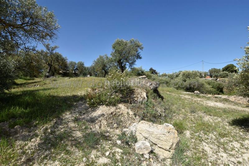 Foto 8fd5d10e-424e-4d59-b193-b0b185a523de. Bauernhof in Partidas Norte Ronda