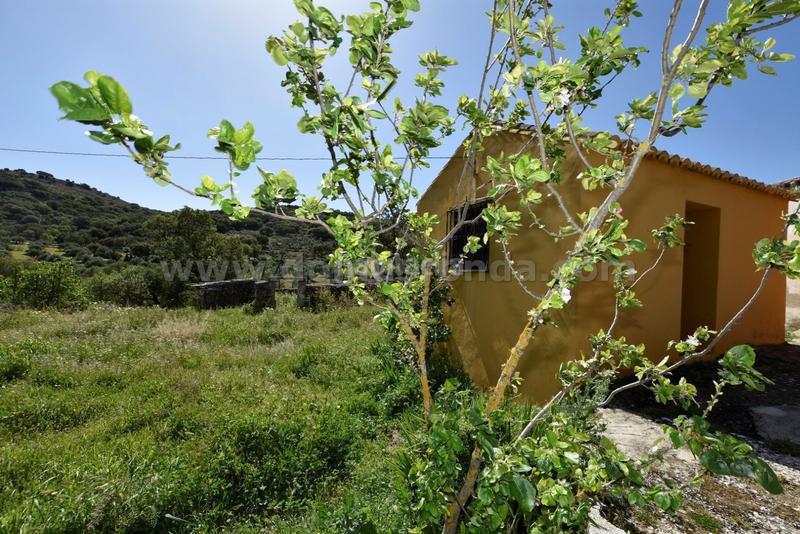 Foto a723a8e9-dad0-49eb-a0dc-1f17b194d5e4. Bauernhof in Partidas Norte Ronda