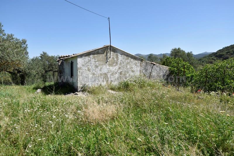 Foto c62e4e92-cf91-49d7-884e-f56fee416c87. Bauernhof in Partidas Norte Ronda