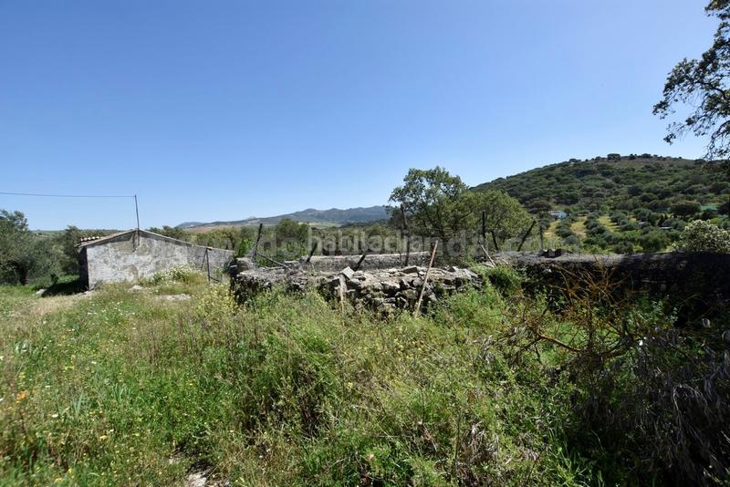 Foto e3096995-a4f3-4604-bb83-95acb5af0d19. Bauernhof in Partidas Norte Ronda