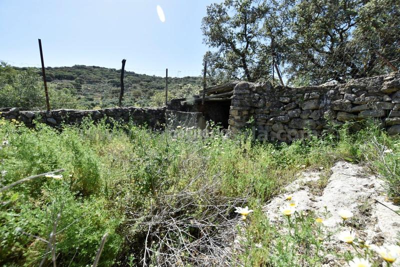 Foto f693ef04-e1b6-48f3-ab31-6527fd40b24d. Bauernhof in Partidas Norte Ronda