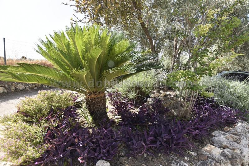 Foto a84648b9-302d-4b66-818e-20c898d052b1. Masía casa de campo en ronda en Arriate