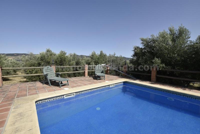 Foto f76d98db-b58f-40ff-a4b9-eac4d10ccb84. Masía casa de campo en ronda en Arriate