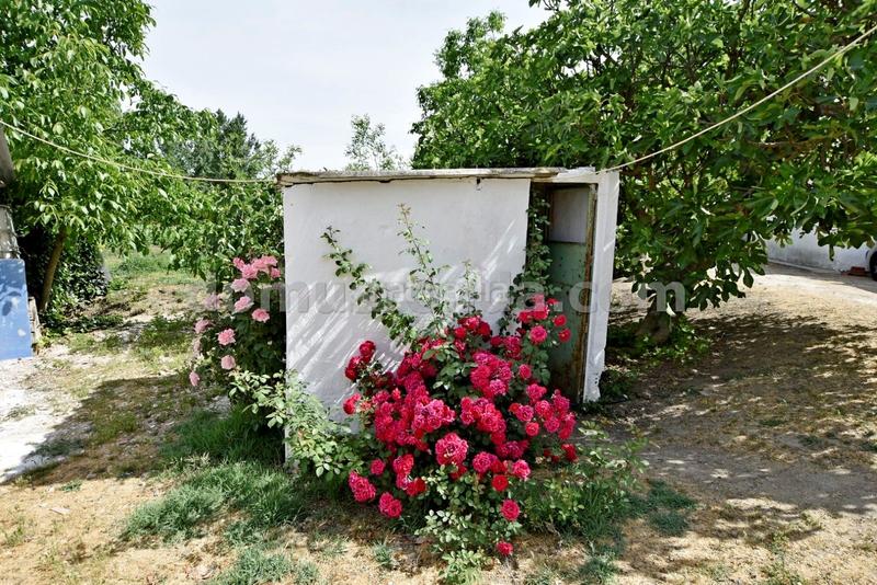 Foto 35608255-86e8-4833-bea5-e11f864600b5. Casale con piscina in Partidas Norte Ronda