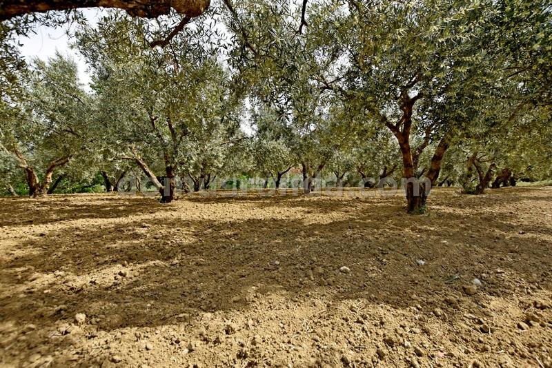 Foto 5460d9f4-328b-4045-8733-241e6842a382. Casale con piscina in Partidas Norte Ronda